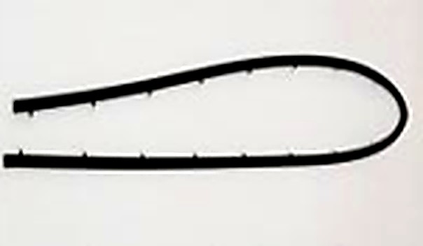 Arch Weatherstrip (OE 31365849) — VOLVO replacement part